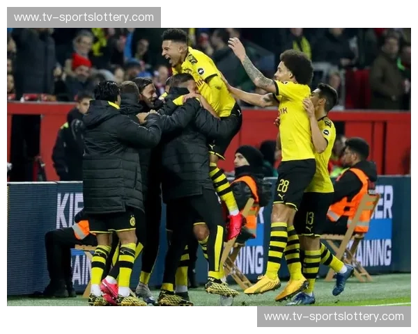 莱茵河畔的双雄争霸：勒沃库森与多特蒙德的恩怨情仇